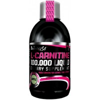 BioTech L-Carnitine 100000 500 мл