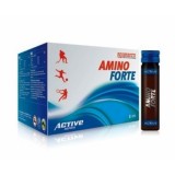 Dynamic Amino Forte (25шт Х 11ml)